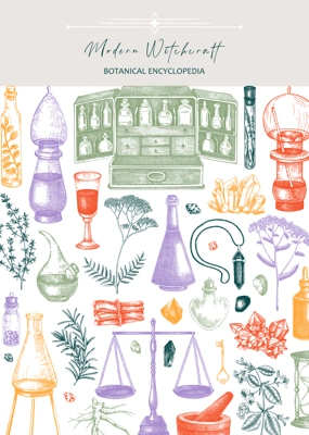 Antique apothecary flyer design. Herbal medicine hand-drawn vector illustrations. Alchemy sketches in color. NOT AI generated